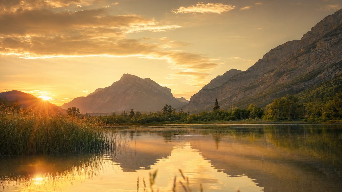 天天吃瓜风光视频